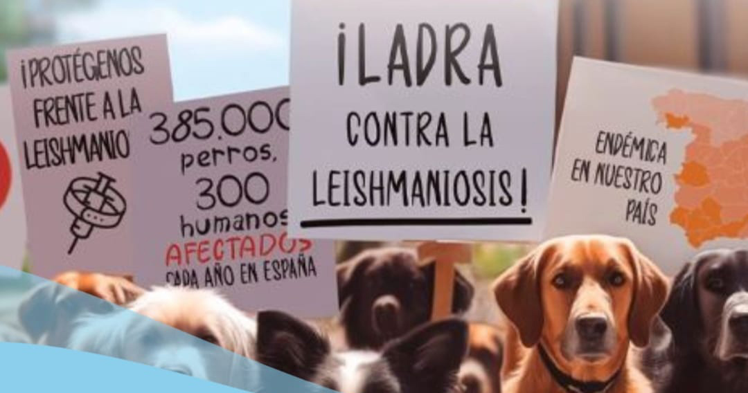Ponencia sobre la Leishmaniosis