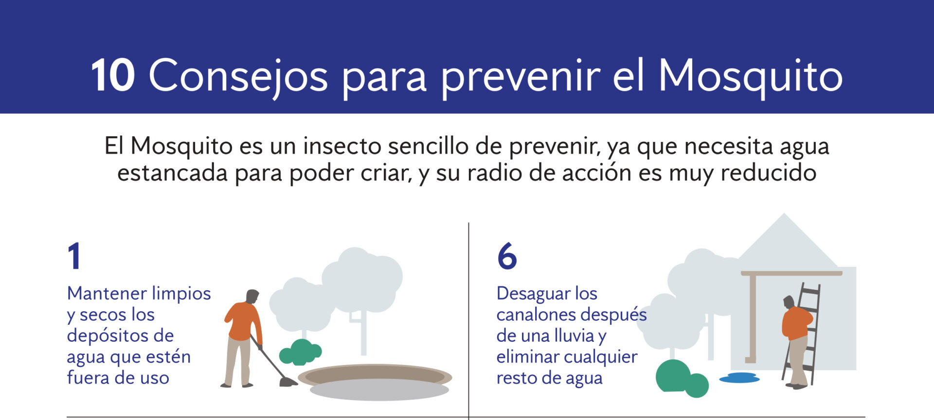 Palomares del Río Intensifica Acciones contra el Mosquito del Virus del Nilo