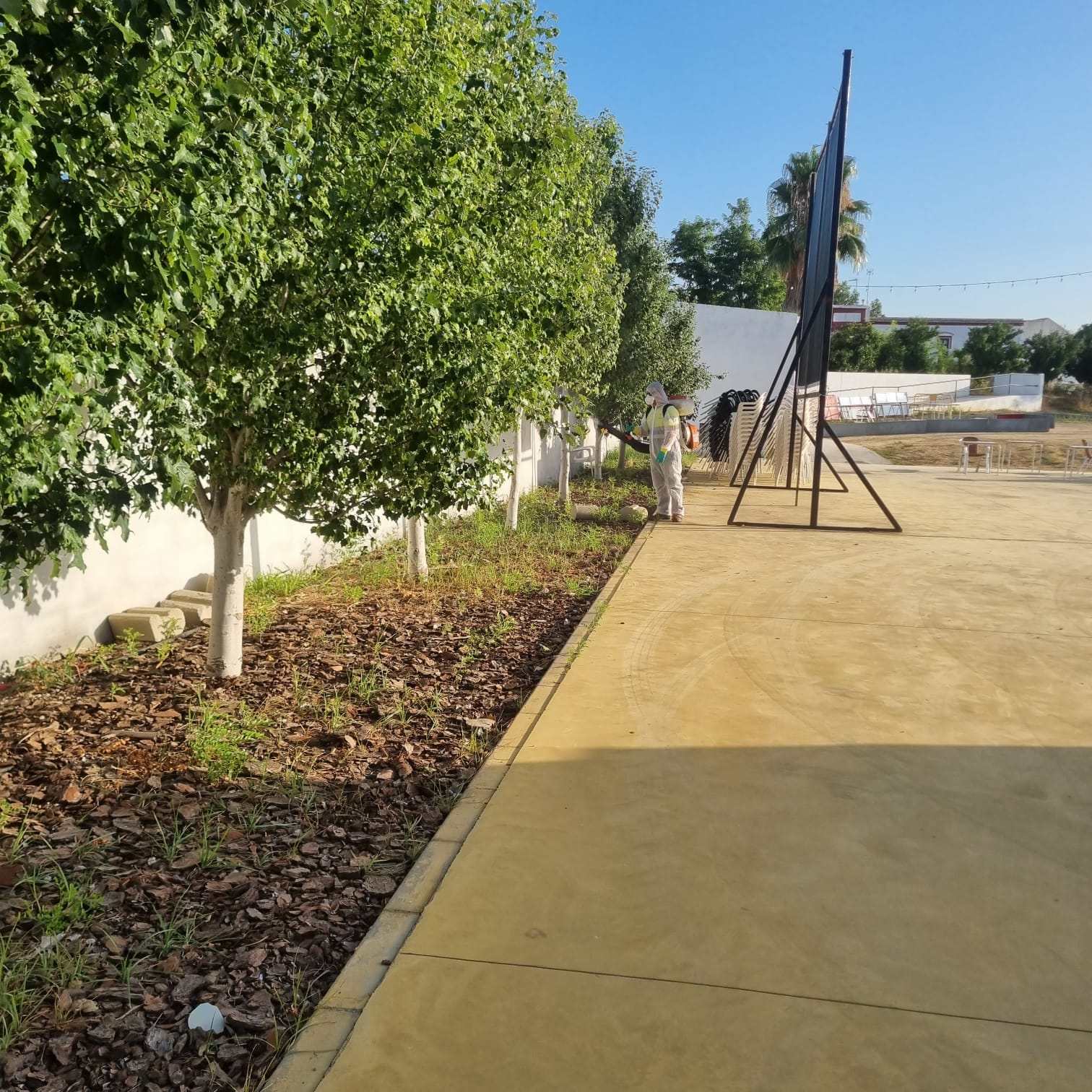 Continúa la fumigación en parques y jardines de Palomares del Río