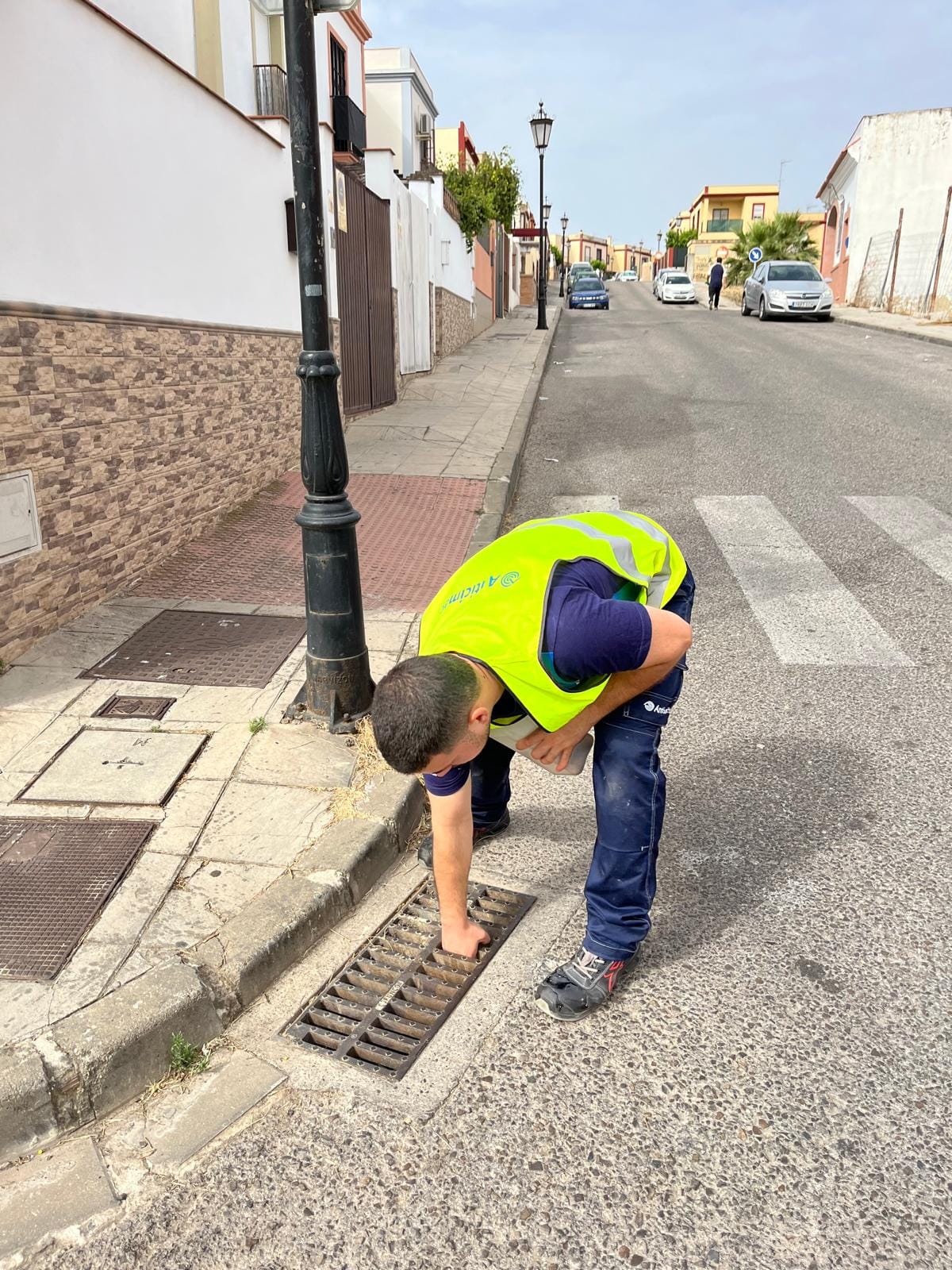 Plan Municipal de Control de Vectores: Tratamiento de Imbornales y Prevención del Virus del Nilo en Palomares del Río