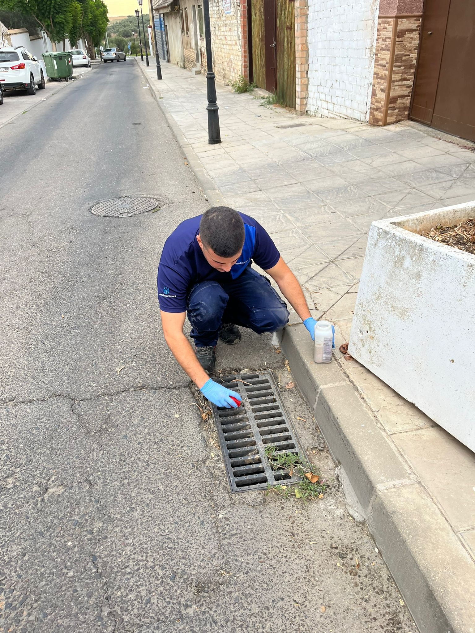 Tratamientos Larvicidas en Marcha: Palomares del Río Refuerza la Prevención del Virus del Nilo
