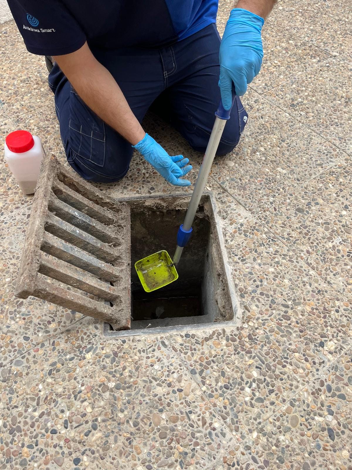 Continúa la monitorización del Plan Municipal de Control de Vectores del Virus del Nilo en Palomares del Río