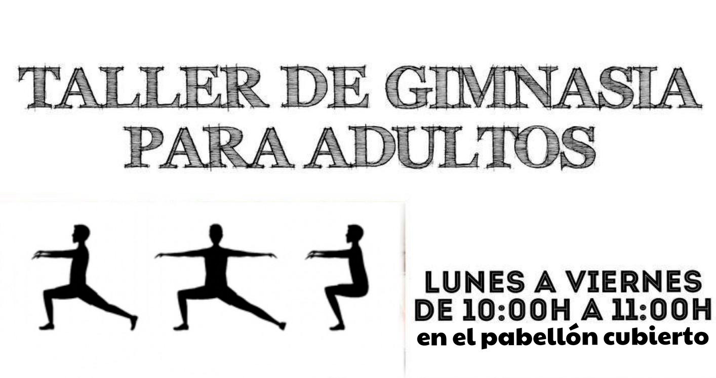 Taller de gimnasia para adultos temporada 2024 / 2025