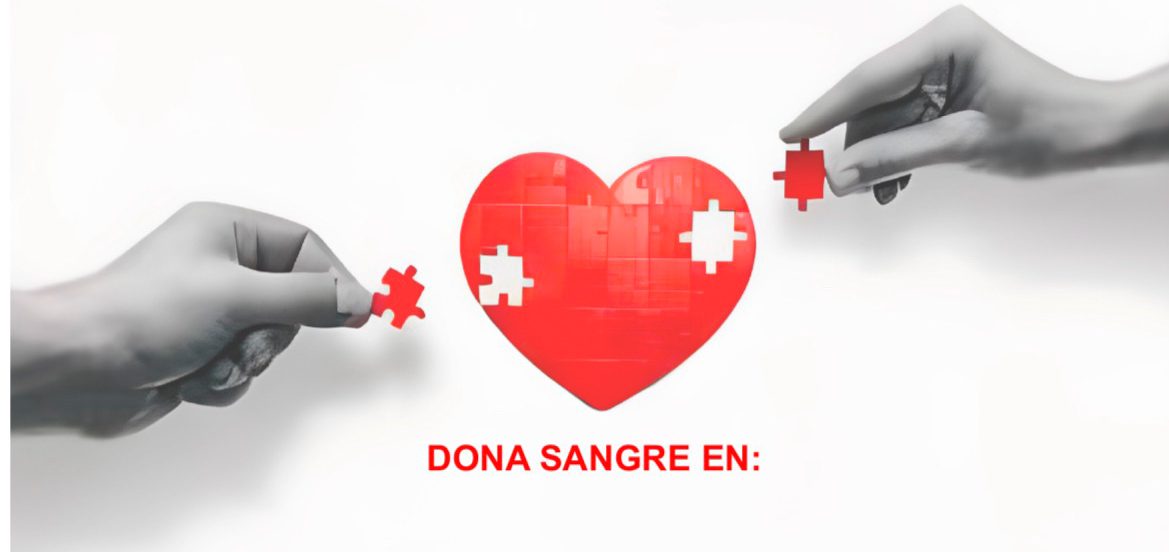 DONA SANGRE EN PALOMARES DEL RÍO