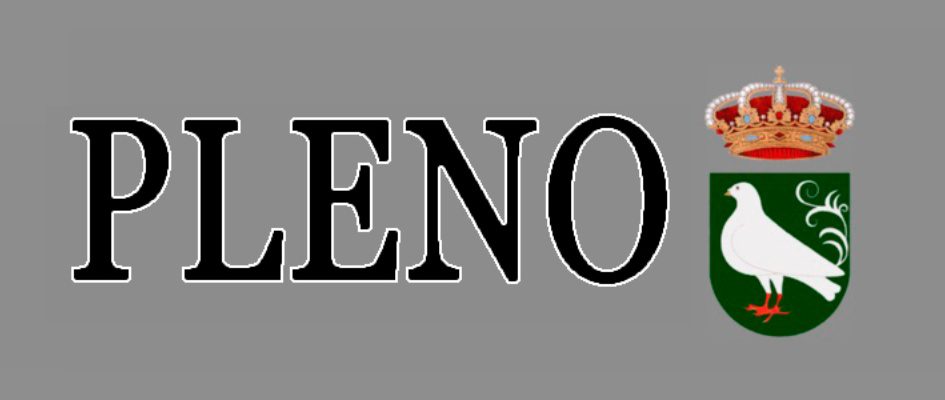 PALOMARES DEL RÍO – 28/11/2024 8:30H – PLENO ORDINARIO