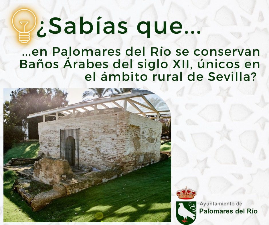 ¿Sabías que los Baños Árabes de Palomares del Río, construidos en el siglo XII, son un tesoro único en la provincia de Sevilla?