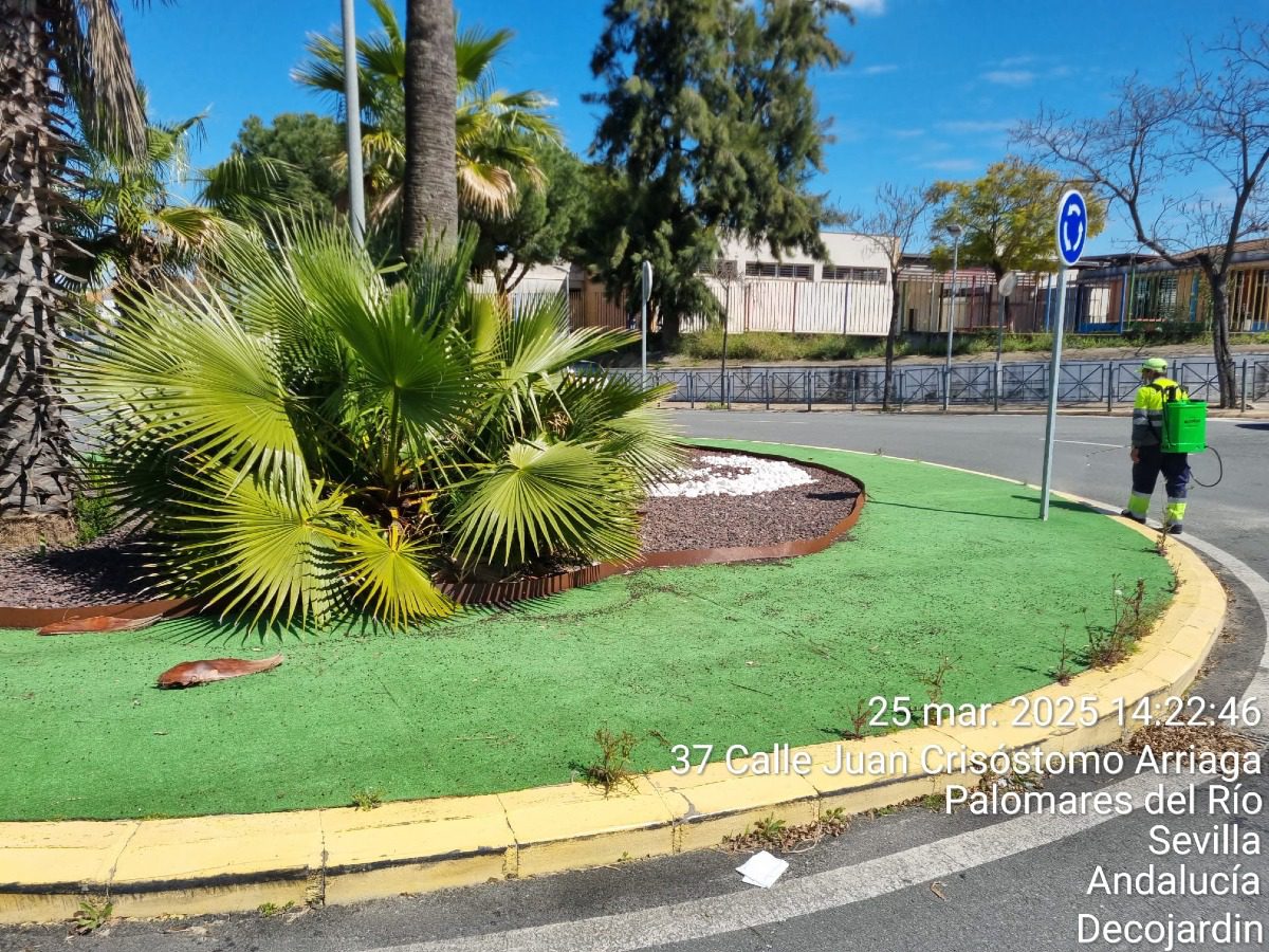 Seguimos cuidando de Palomares del Río con acciones concretas y efectivas desde el Área Palomares Sostenible