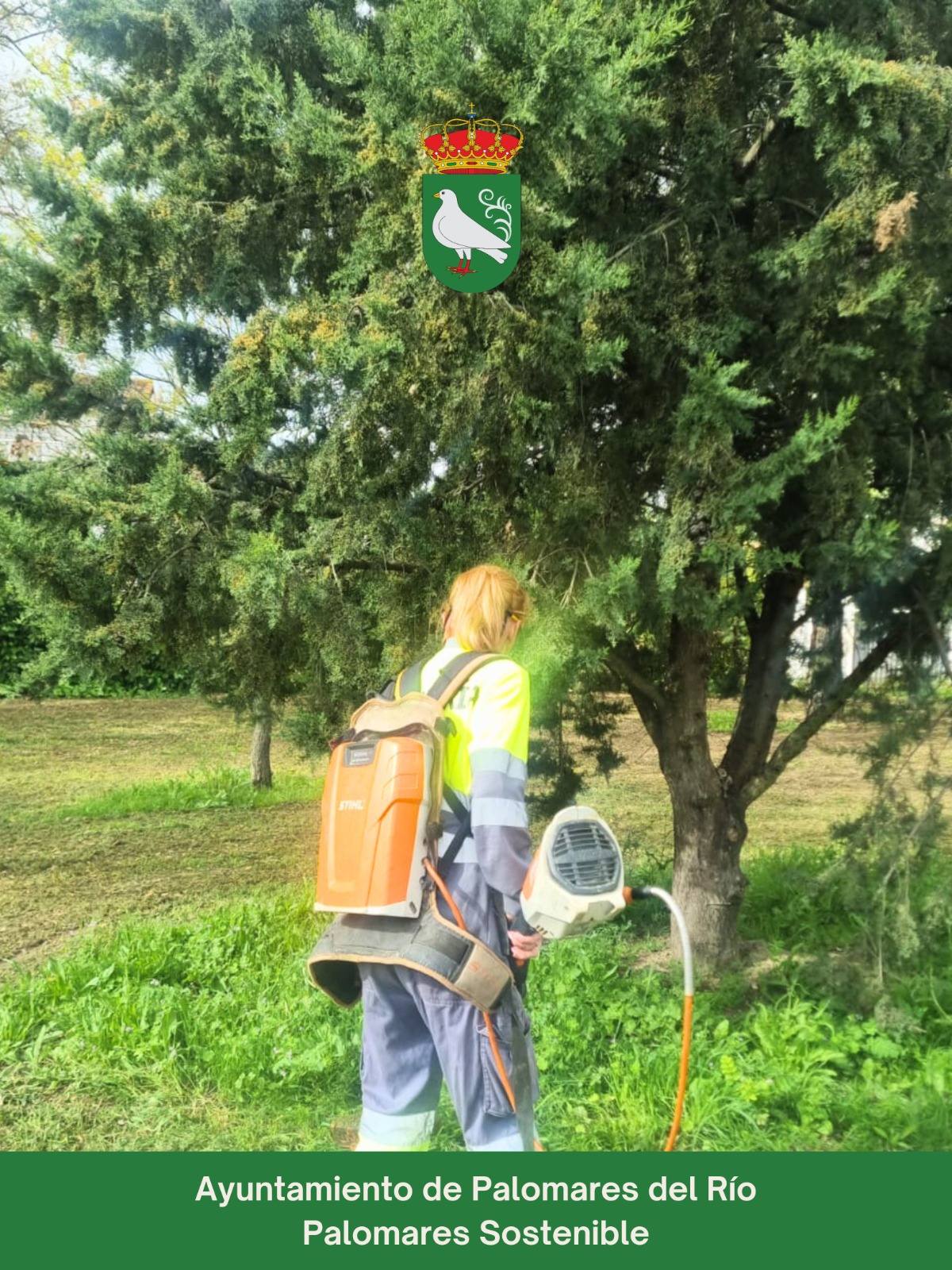 Mantenimiento de Zonas Verdes