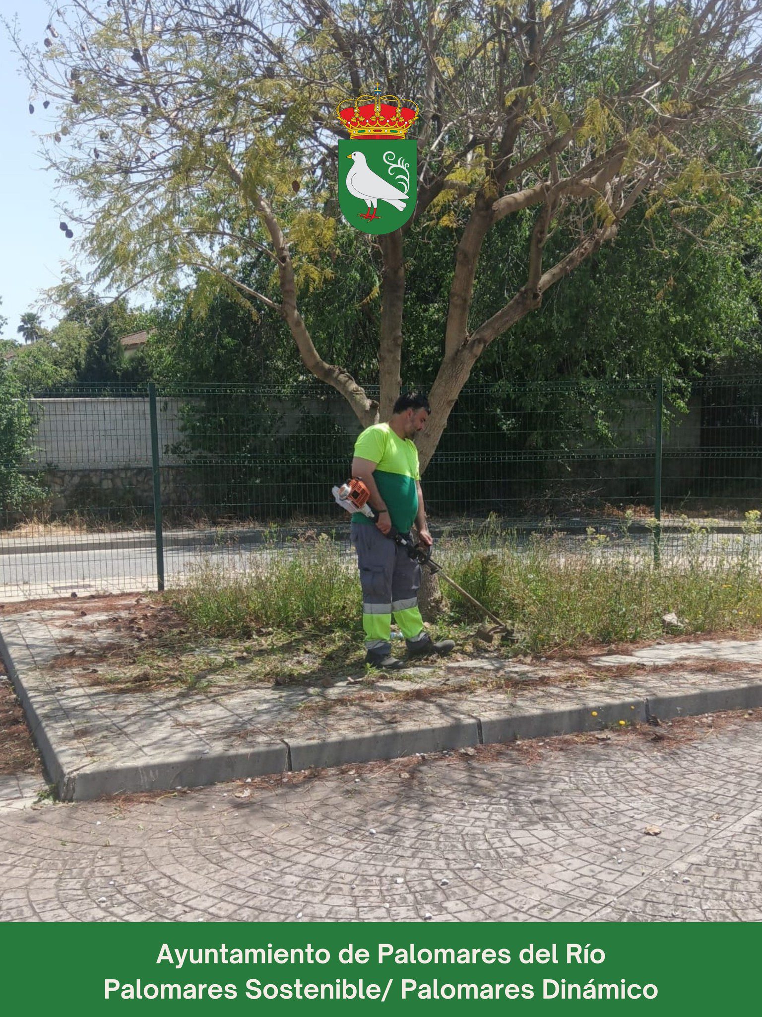 Seguimos construyendo un Palomares del Río sostenible y dinámico