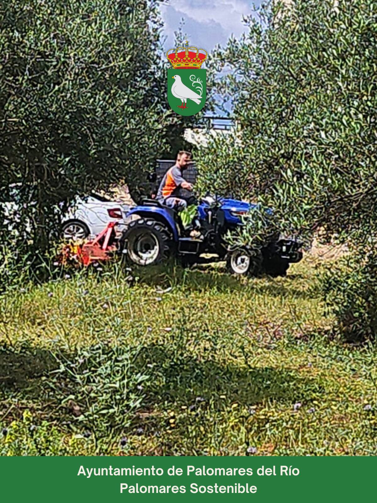 Mejorando Palomares del Río: Trabajos de limpieza y jardinería en nuestras calles