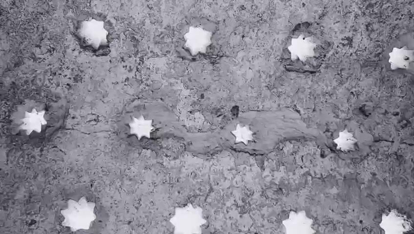 ¡Vive la II Ruta de la Tapa Mozárabe en Palomares del Río!