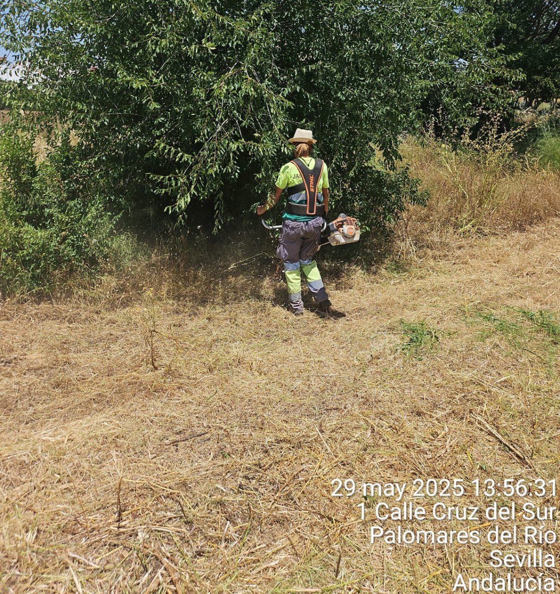 Continuamos con los trabajos de desbroce en Palomares del Río