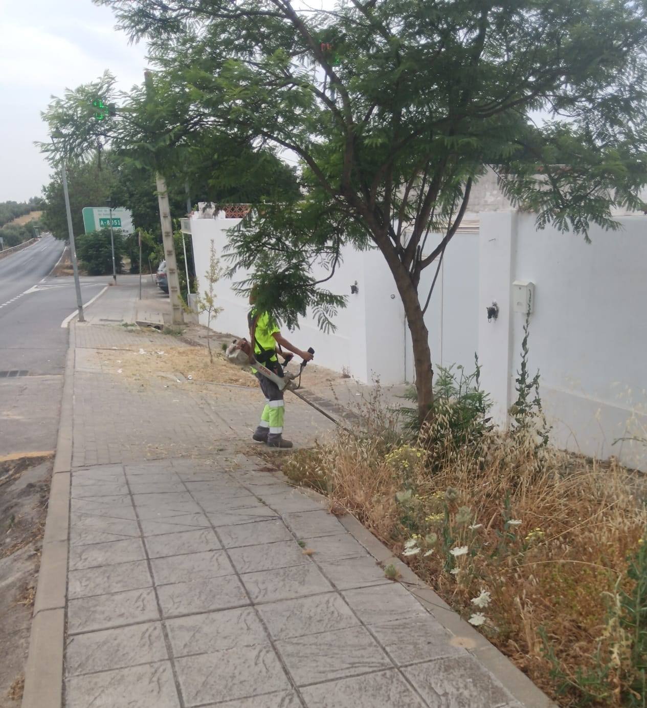 Seguimos cuidando Palomares: limpieza y mantenimiento de zonas verdes