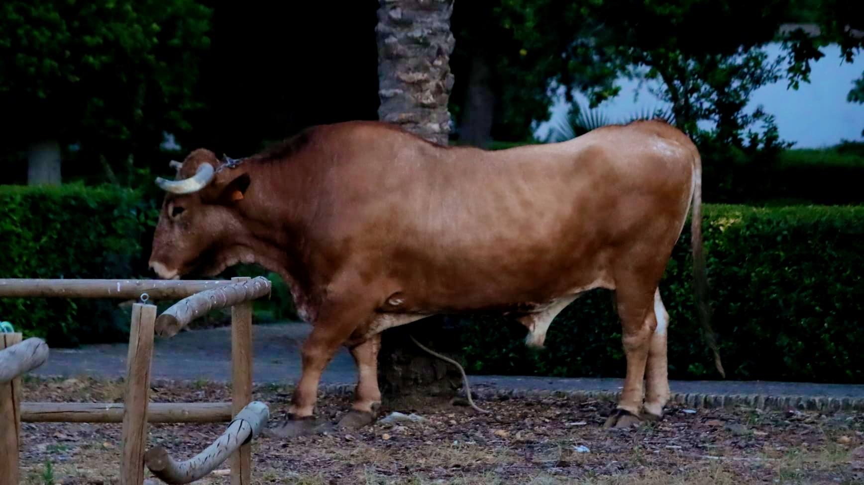 Un camino de emociones en los Baños Árabes