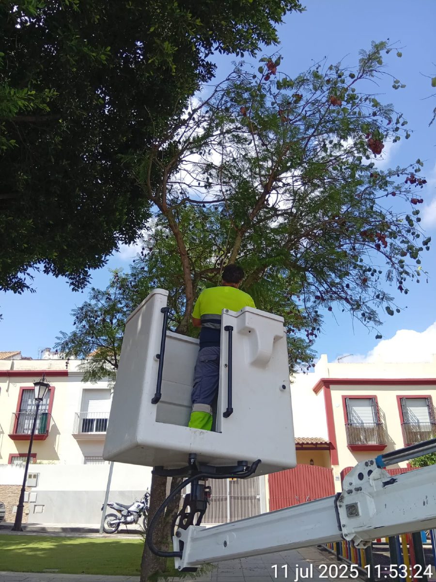 Seguimos cuidando nuestro entorno verde