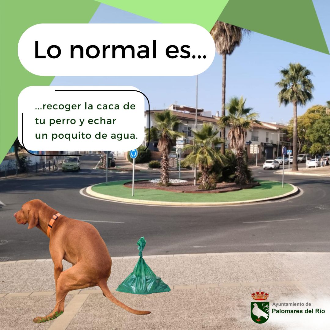 Lo normal es…