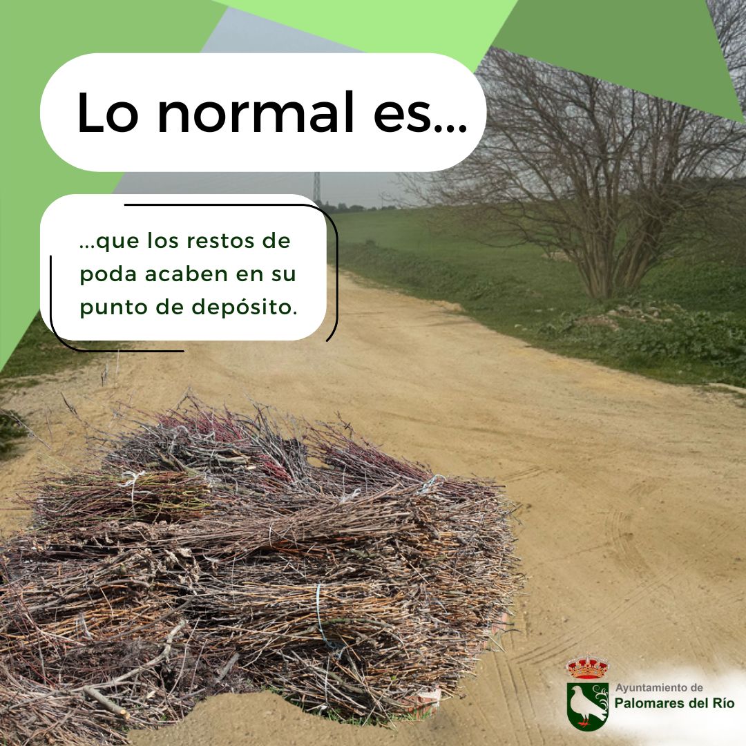 Lo normal es…