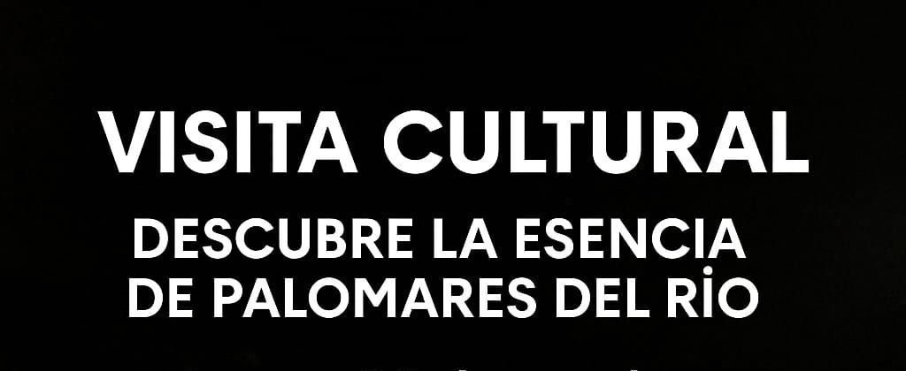 VISITA CULTURAL: Descubre la esencia de Palomares del Río
