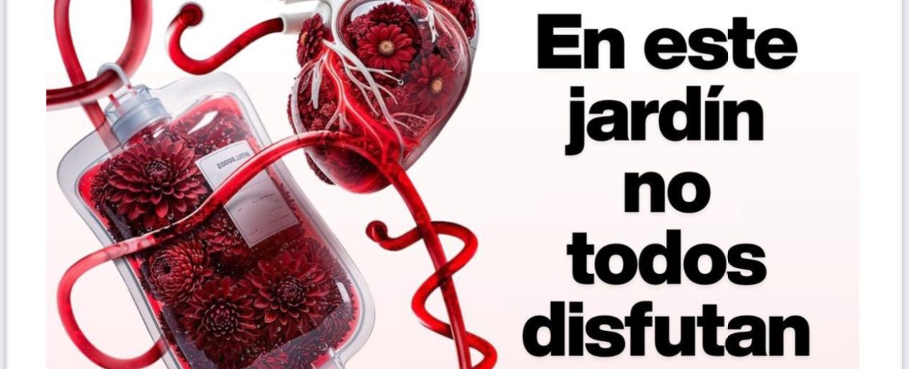 Donar sangre es regalar vida